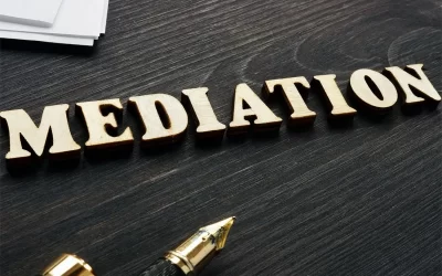 Preparing for the Mediation Option: Or How to Avoid Having a Judge Decide What You Should Do!